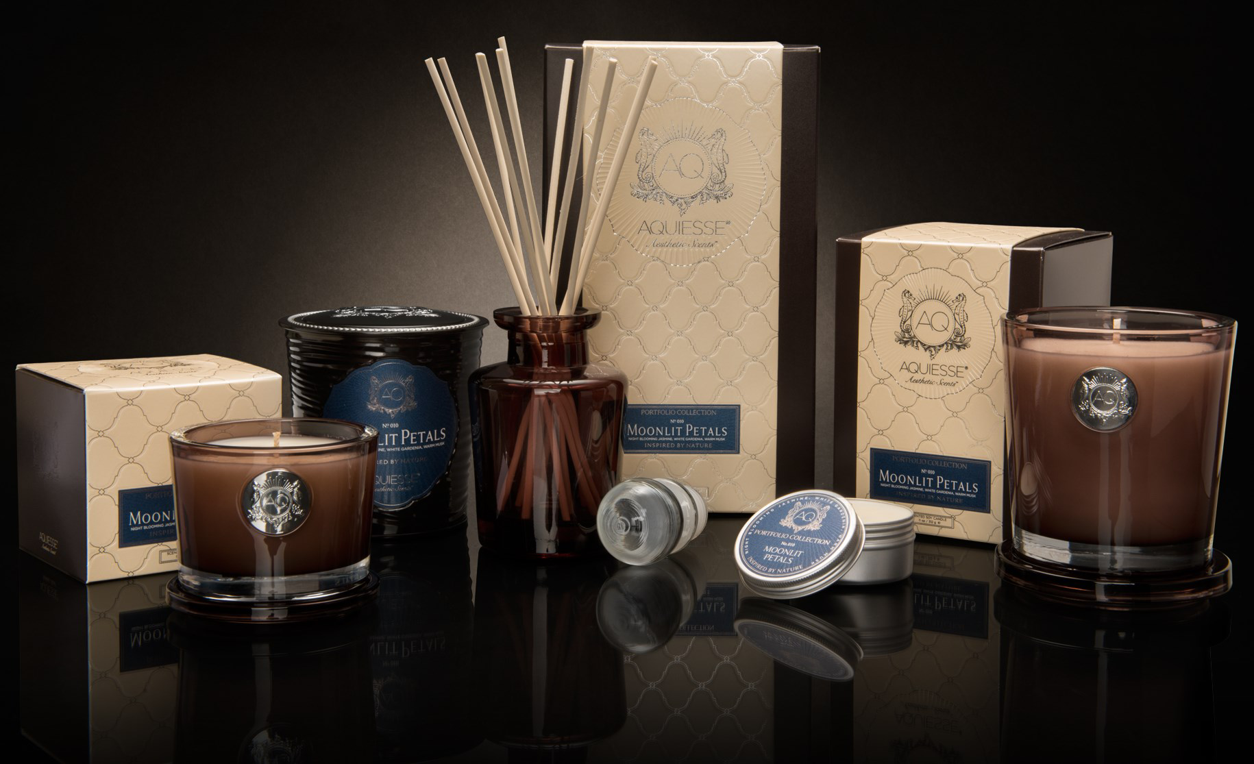 Aquiesse | James Anthony Collection