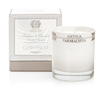 Antica Farmacista Lush Palm Scented Candle | James Anthony Collection