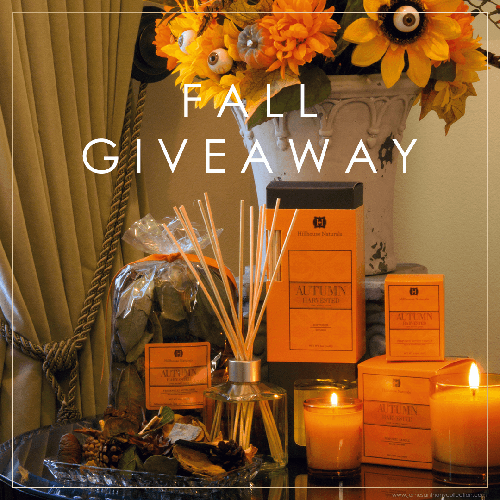 Fall Giveaway